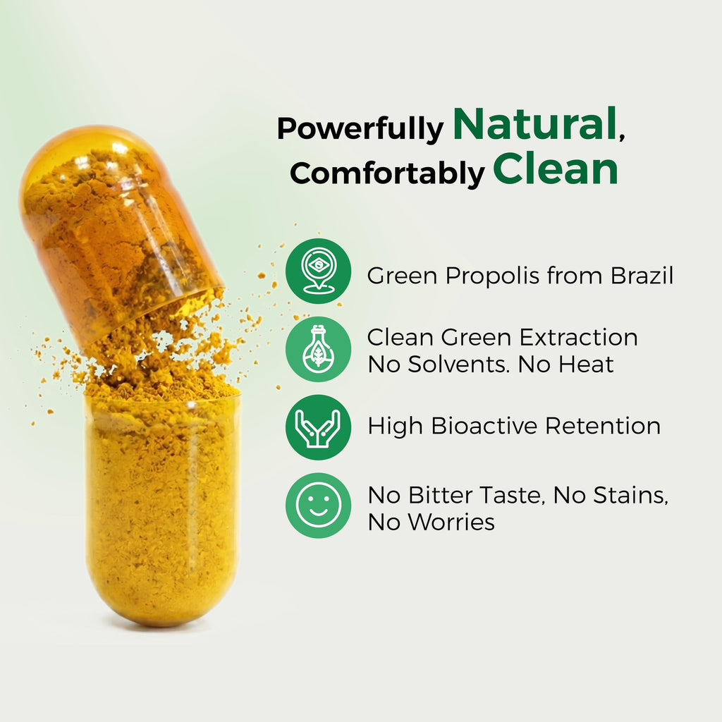 LABO Nutrition Brazilian Green Propolis Ultimate – 28 mg Artepillin C, 20 mg Flavonoids, 60 Veg Caps (three-pack)