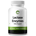 Lactase Supplement 240 Tablets - Gluten Free, Non-GMO, Vegan | 3000 FCC, 90 mg Enzyme