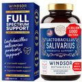 Lactobacillus Salivarius Probiotic 24bn CFU for Teeth & Gums - Bad Breath, Immune & Digestive Health - 60 Capsules