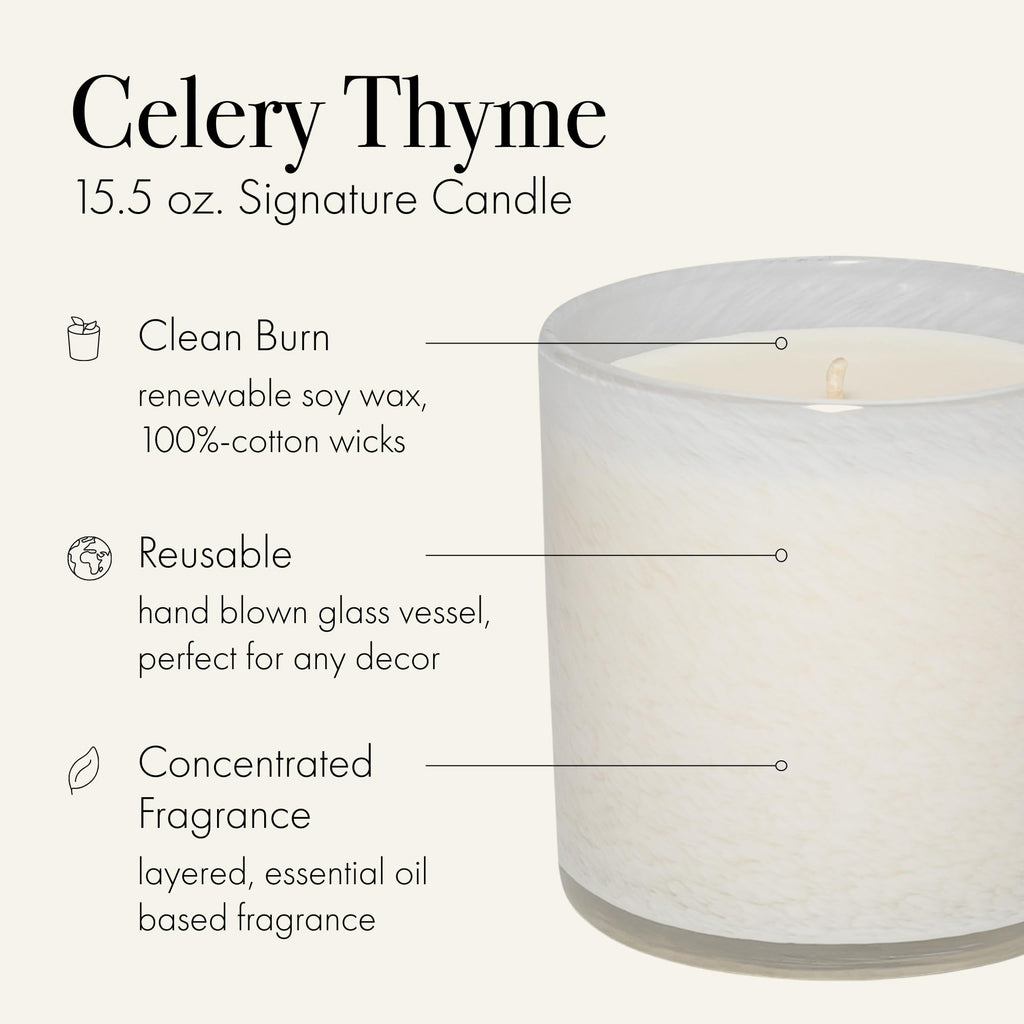 LAFCO New York Signature Candle Celery Thyme – 15.5 oz, 90-Hour Burn, USA Made