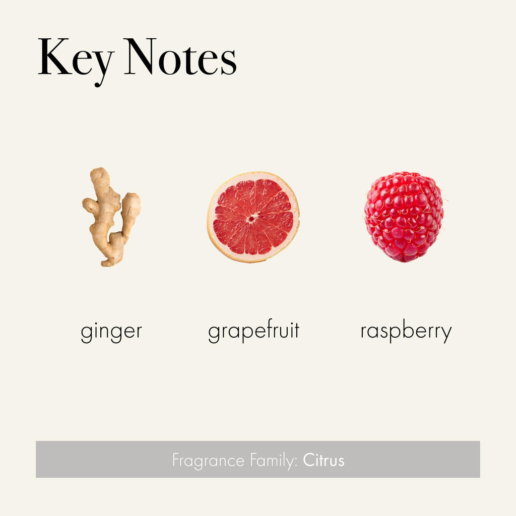 LAFCO New York Signature Candle Champagne – 15.5 oz, 2-Pack, 90-Hour Burn, Hand-Blown Glass Vessel, Made in USA