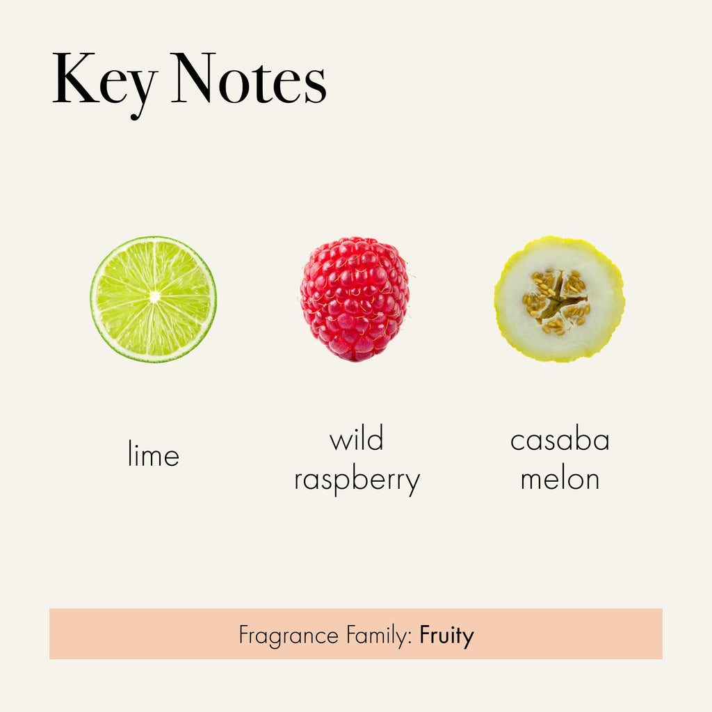 LAFCO New York Pura Smart Device Refill Paloma Melon – Up to 2 Weeks Fragrance Life | Made in USA