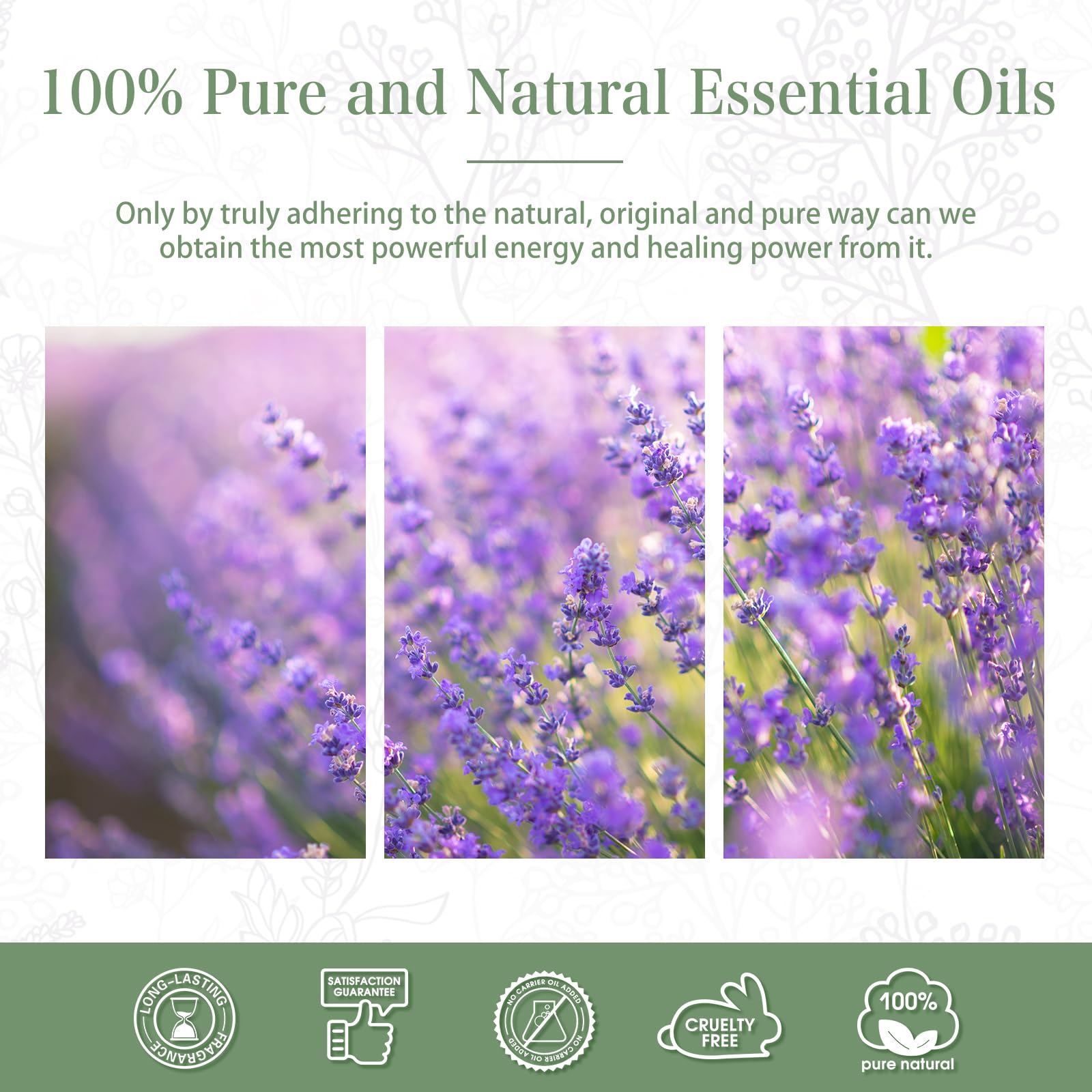 Lavender Essential Oil 3.38 fl oz (100 ml) | PHATOIL Aromatherapy for Diffuser, Humidifier | DIY Soap, Candle & Bath Bombs