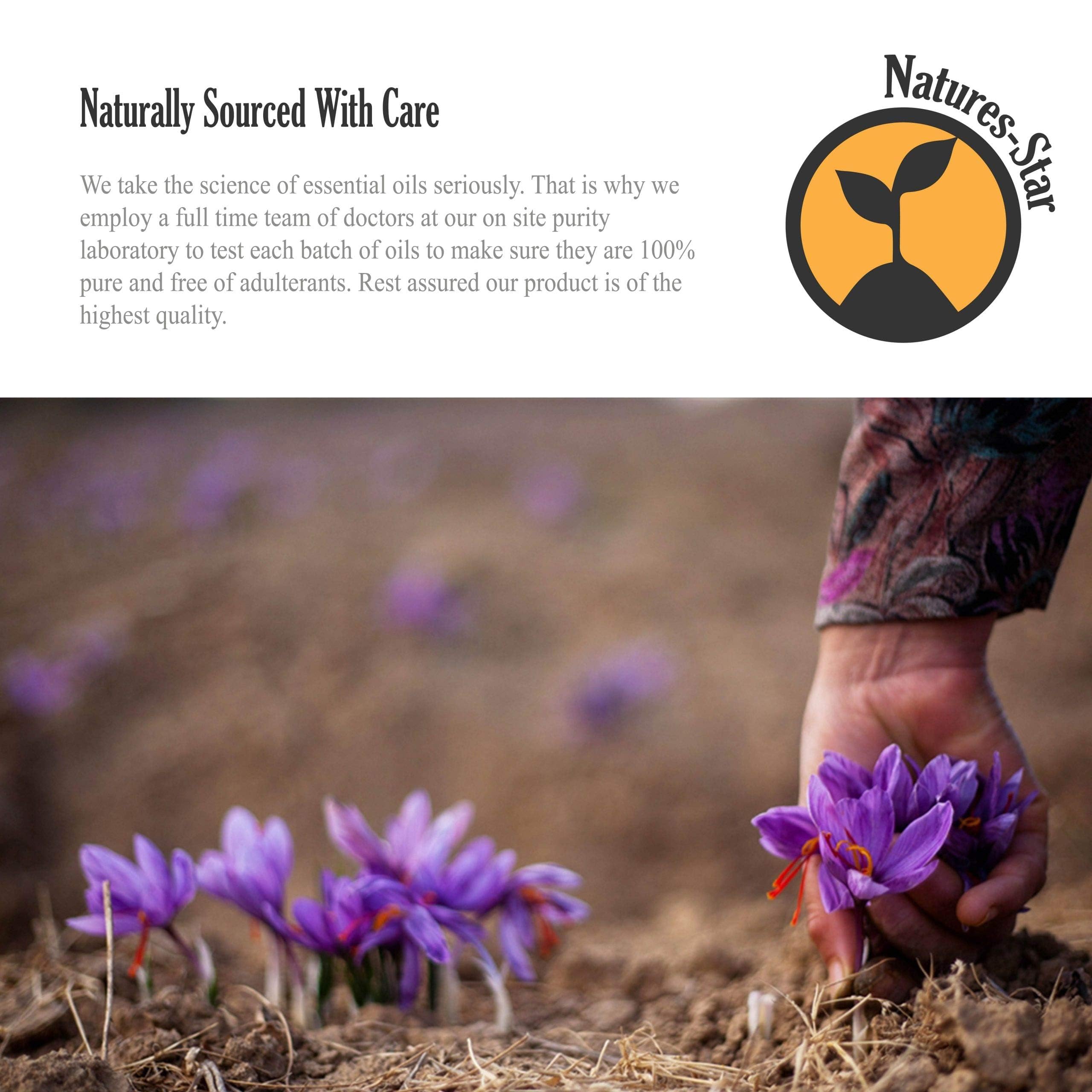 Natures-Star Lavender Essential Oil (2 Pack) - Aromatherapy & Candle Making | 16 oz