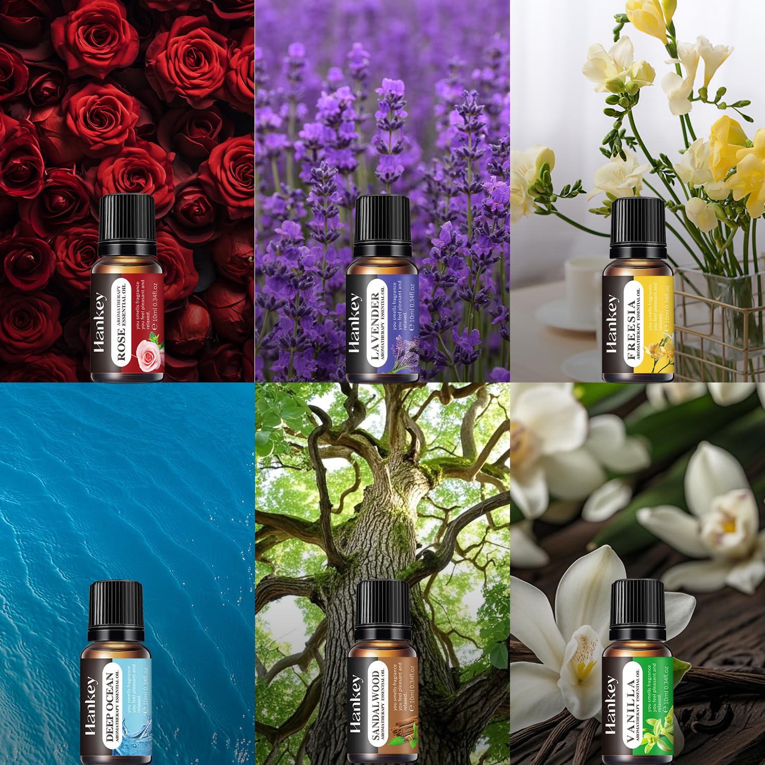 6-Piece Essential Oils Set – Lavender, Rose, Vanilla, Sandalwood, Freesia & Deep Ocean | 100% Pure