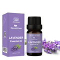 Lavender Essential Oil 10ml – 100% Pure, High Potency, Skin Safe