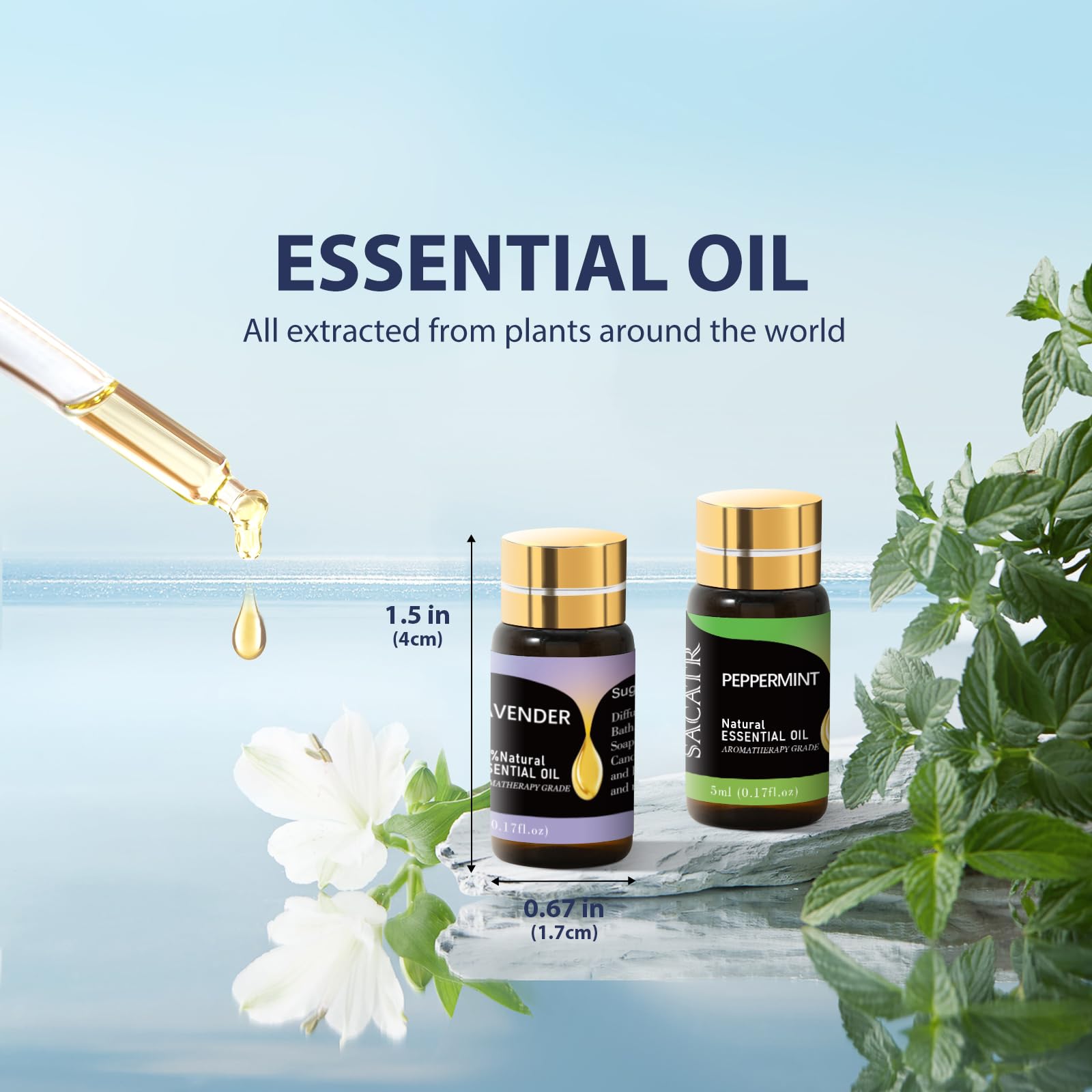 SACATR Essential Oils Set – 12 x 5ml Natural Oils Gift Set for Diffuser & DIY Projects