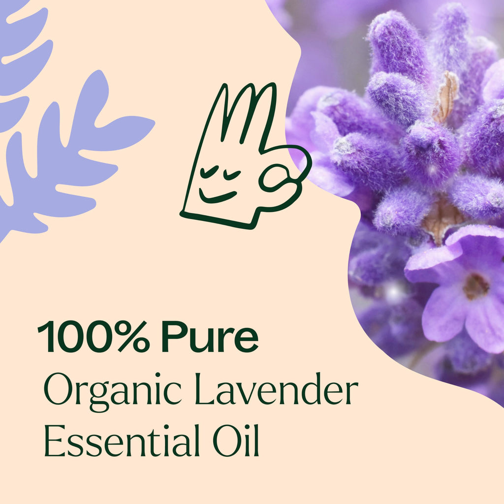 Plant Therapy Organic Lavender Essential Oil 30 mL – 100% Pure, USDA Certified Organic