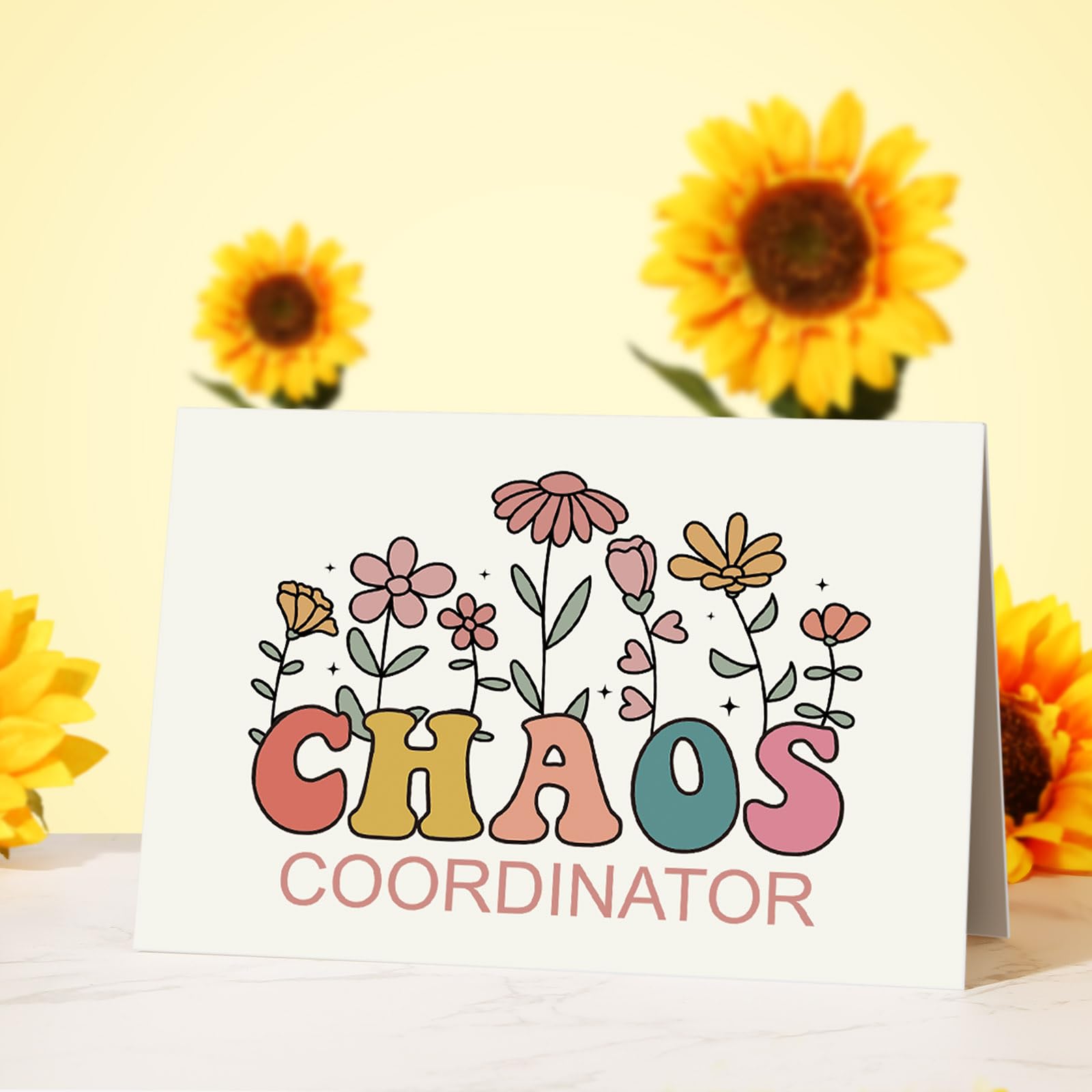 Chaos Coordinator Gifts for Women – Thank You Gifts for Coworkers & Boss Lady