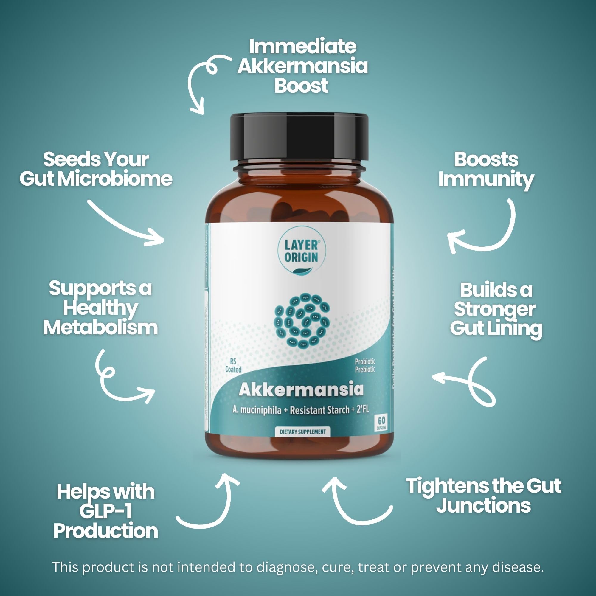 Layer Origin Akkermansia muciniphila Probiotic – PureHMO Prebiotic, Live Strain, 30-Day