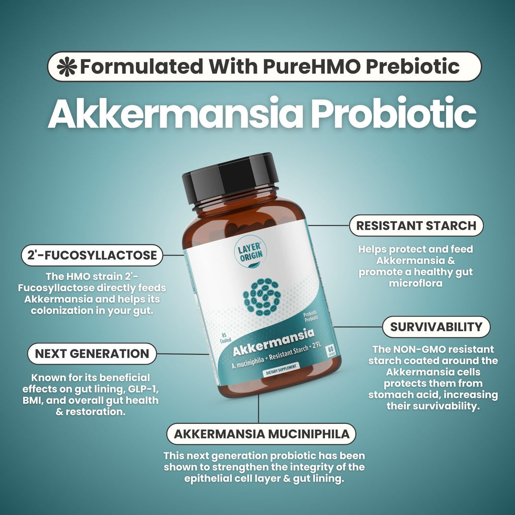 Layer Origin Akkermansia muciniphila Probiotic – PureHMO Prebiotic, Live Strain, 30-Day