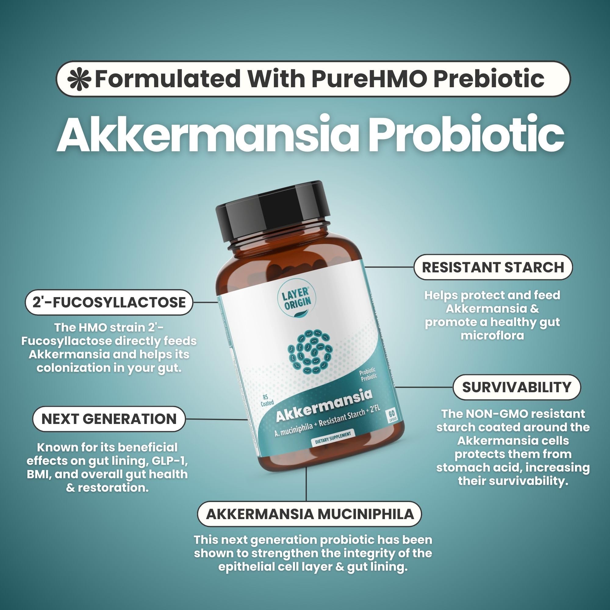 Layer Origin Akkermansia muciniphila Probiotic – PureHMO Prebiotic, Live Strain, 30-Day
