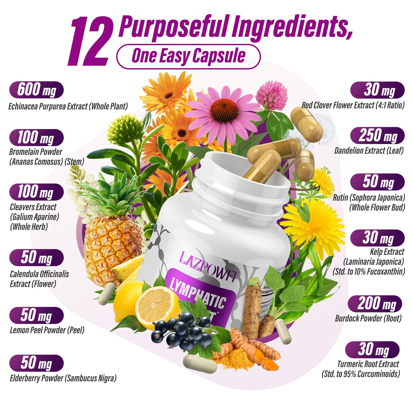 Lazpowfi Lymphatic Drainage Supplement – 120 Capsules with Echinacea, Dandelion & Turmeric