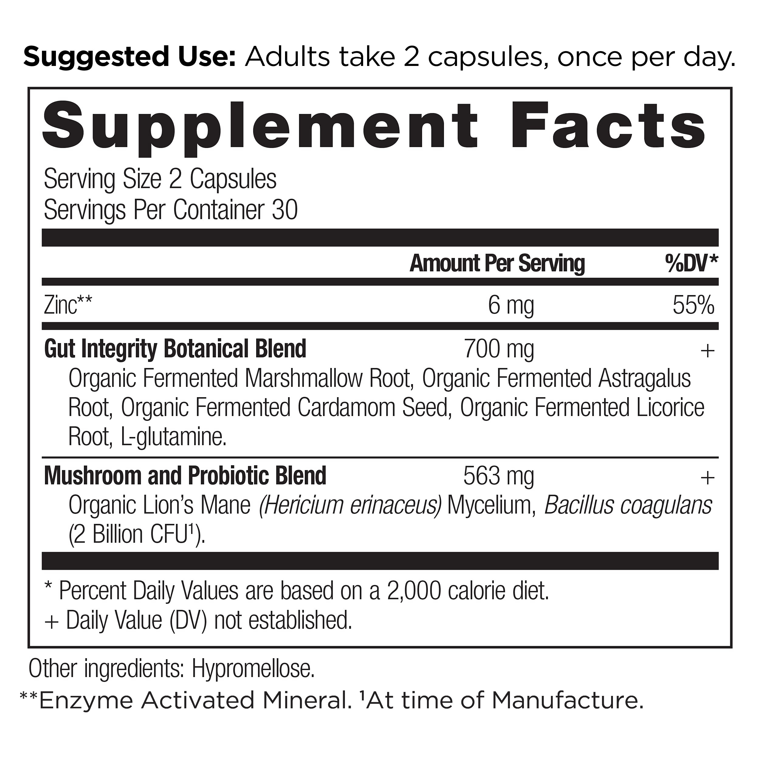 Ancient Nutrition Leaky Gut Capsules 60 Count – Gut Health Support