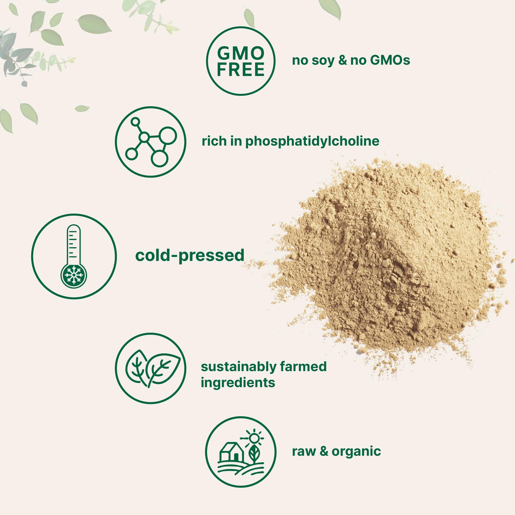 Organic Sunflower Lecithin Powder – 1 lb, Cold Pressed & Non-GMO