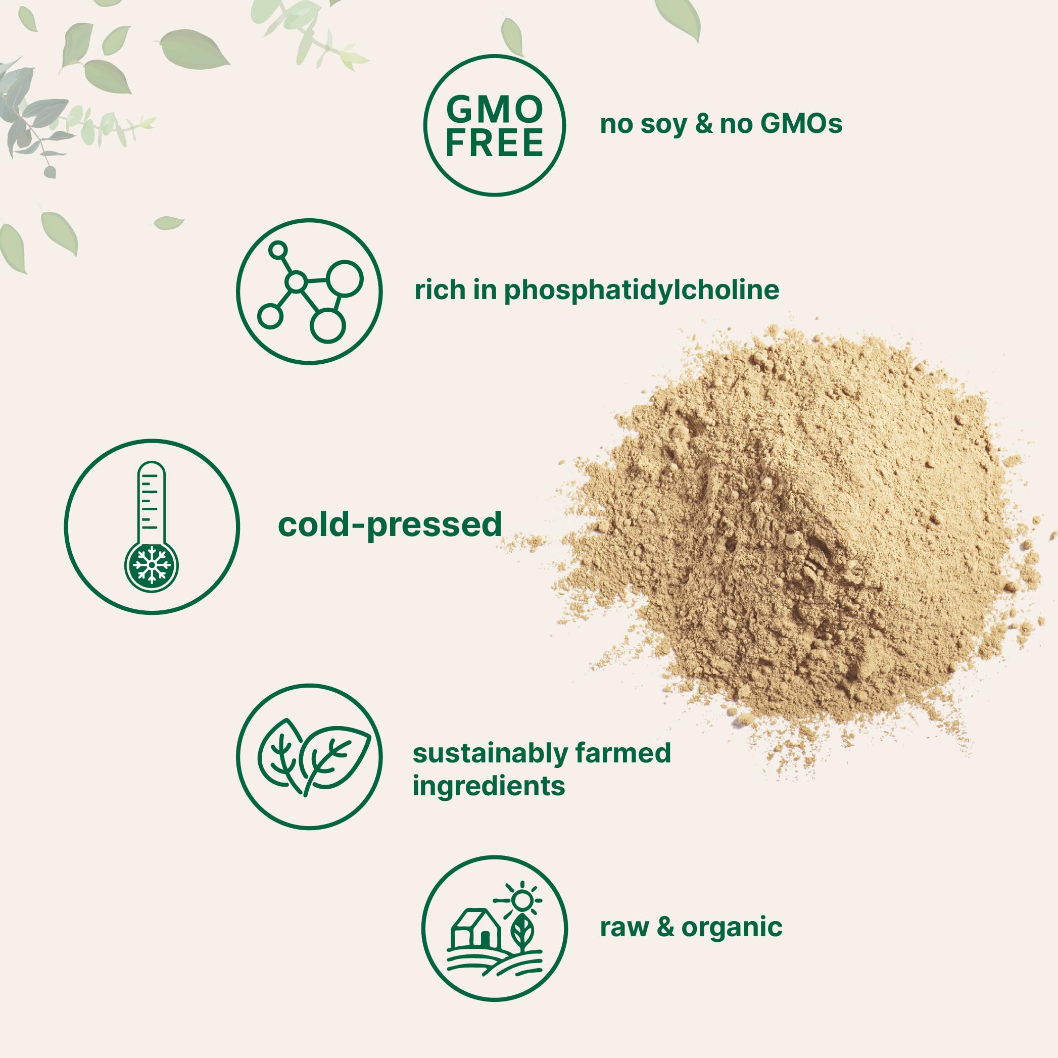 Organic Sunflower Lecithin Powder – 1 lb, Cold Pressed & Non-GMO