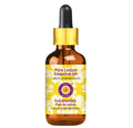 Ledum Essential Oil 15ml | Deve Herbes Pure (Ledum groenlandicum)
