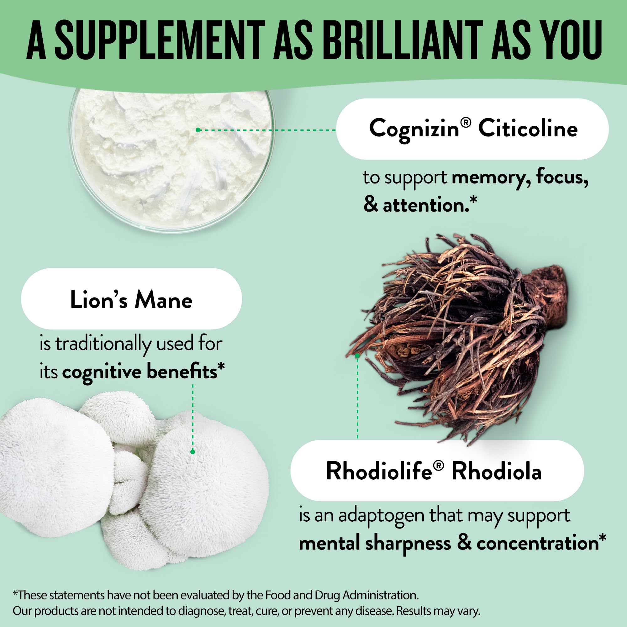 Legendairy Milk Clever Girl: Focus Support with Lion’s Mane & Citicoline | Memory & Mental Clarity for Women | 30 Servings