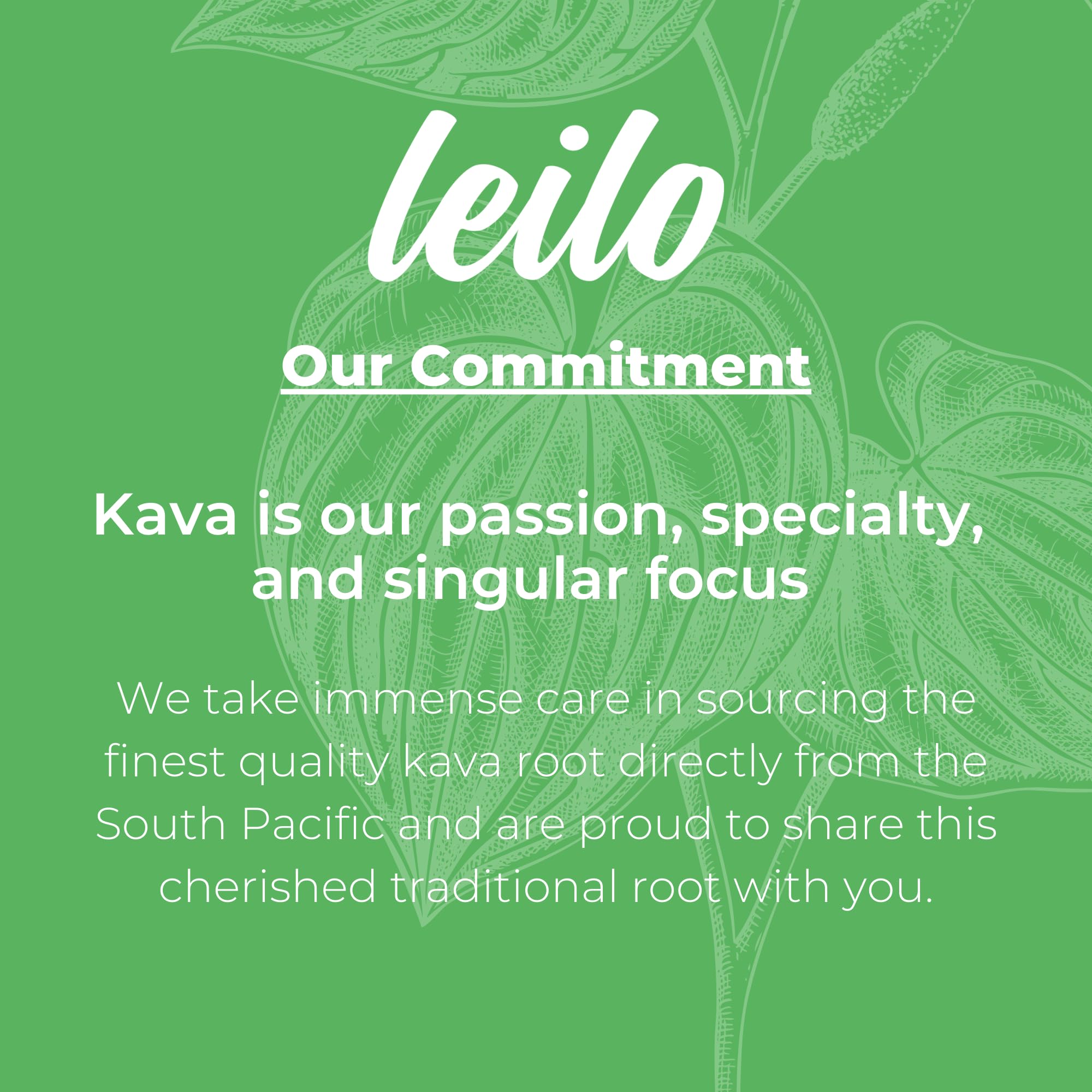 LEILO Kava-Powered Sparkling Relaxation Drink - Variety Sampler 6-Pack | 12 oz Cans | Non-ALC