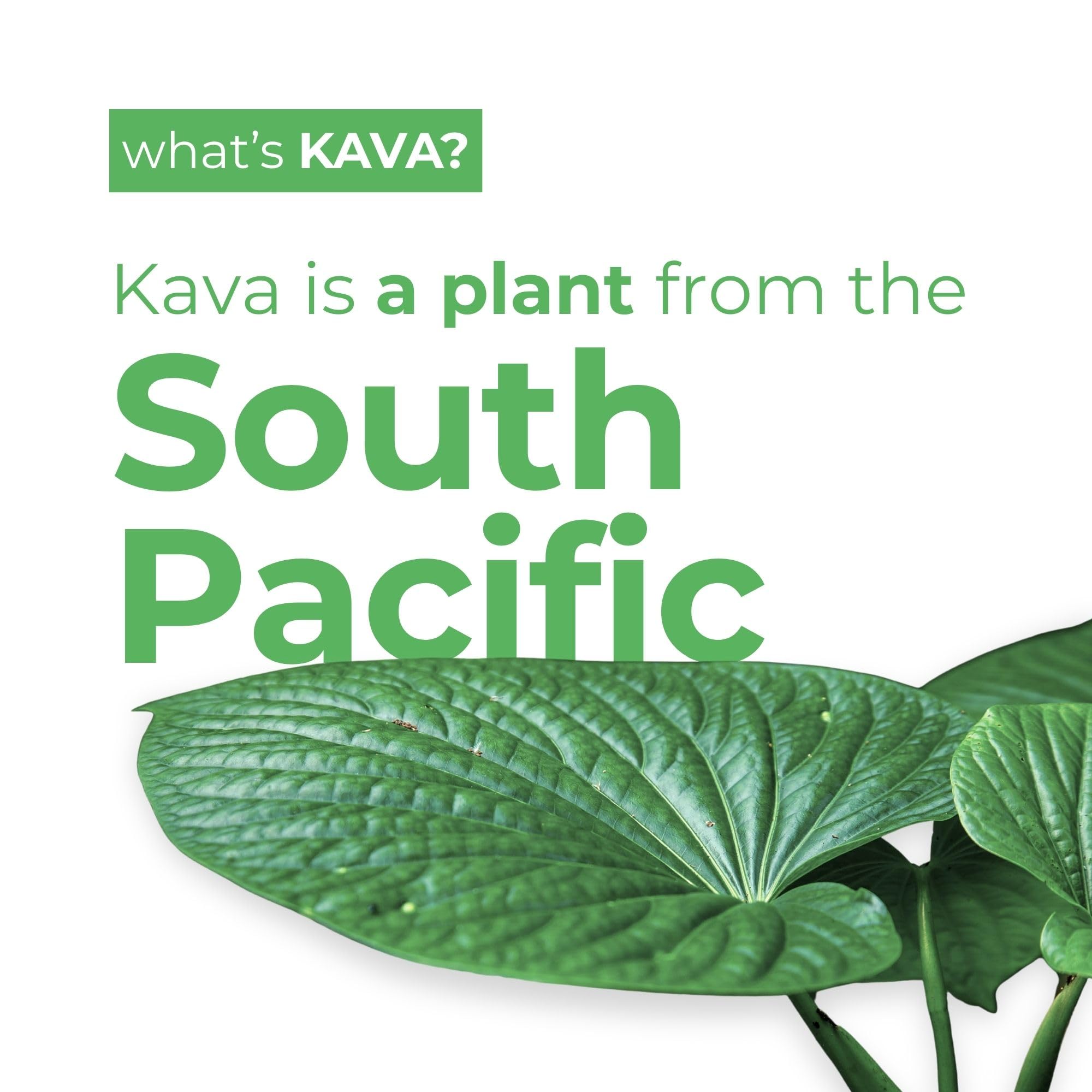 LEILO Kava Lime Margarita Mocktail – Sugar-Free, Non-Alcoholic 12-Pack (12 fl oz Cans)