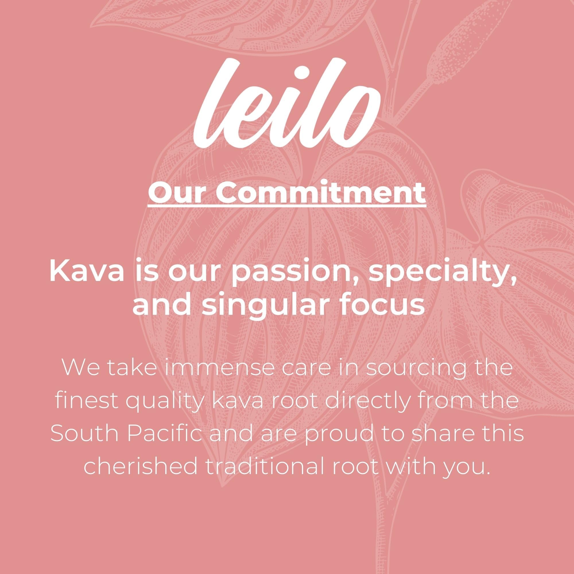 LEILO Kava-Powered Sparkling Relaxation Drink | Raspberry Hibiscus 12-Pack | Non-Alc Calming Beverage