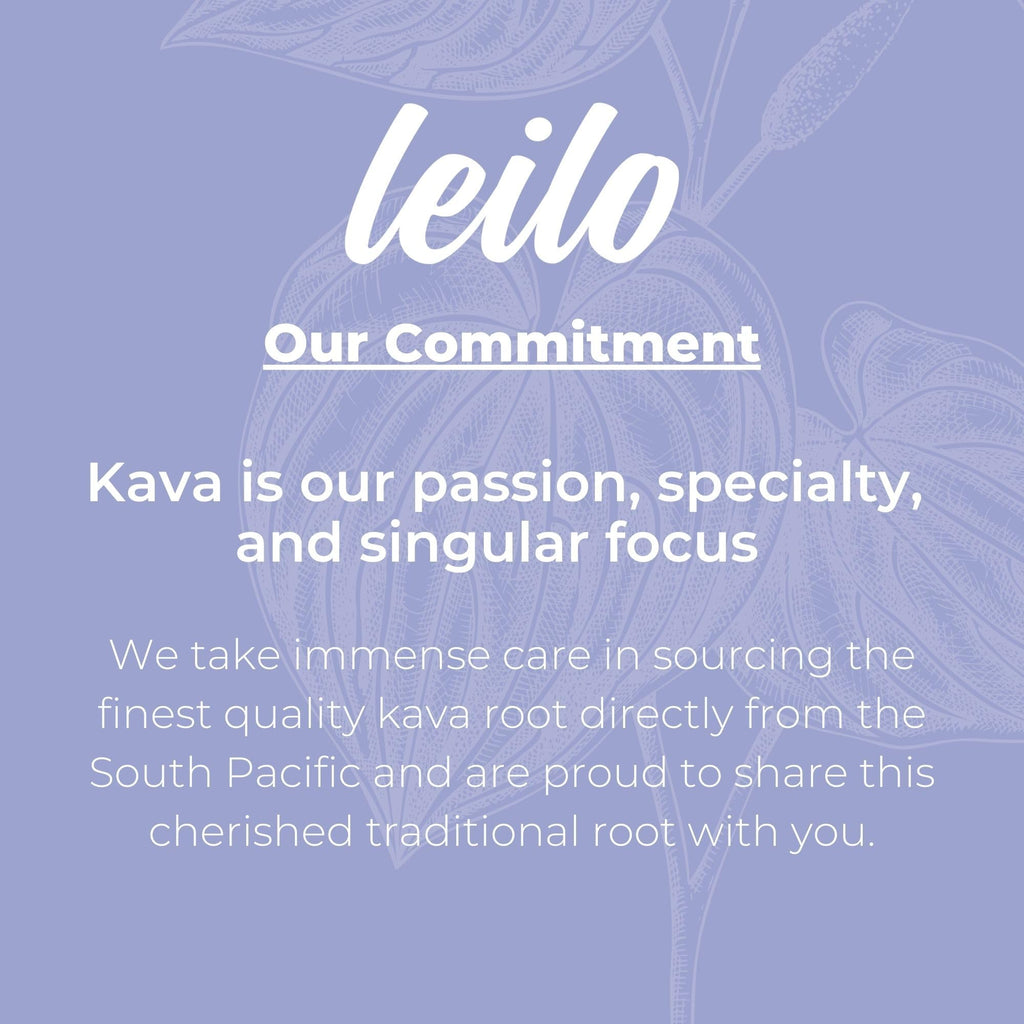 LEILO Kava Powered Sparkling Relaxation Drink – Blackberry Orange 12-Pack | Non-ALC Calming Beverage | 12 fl oz Cans