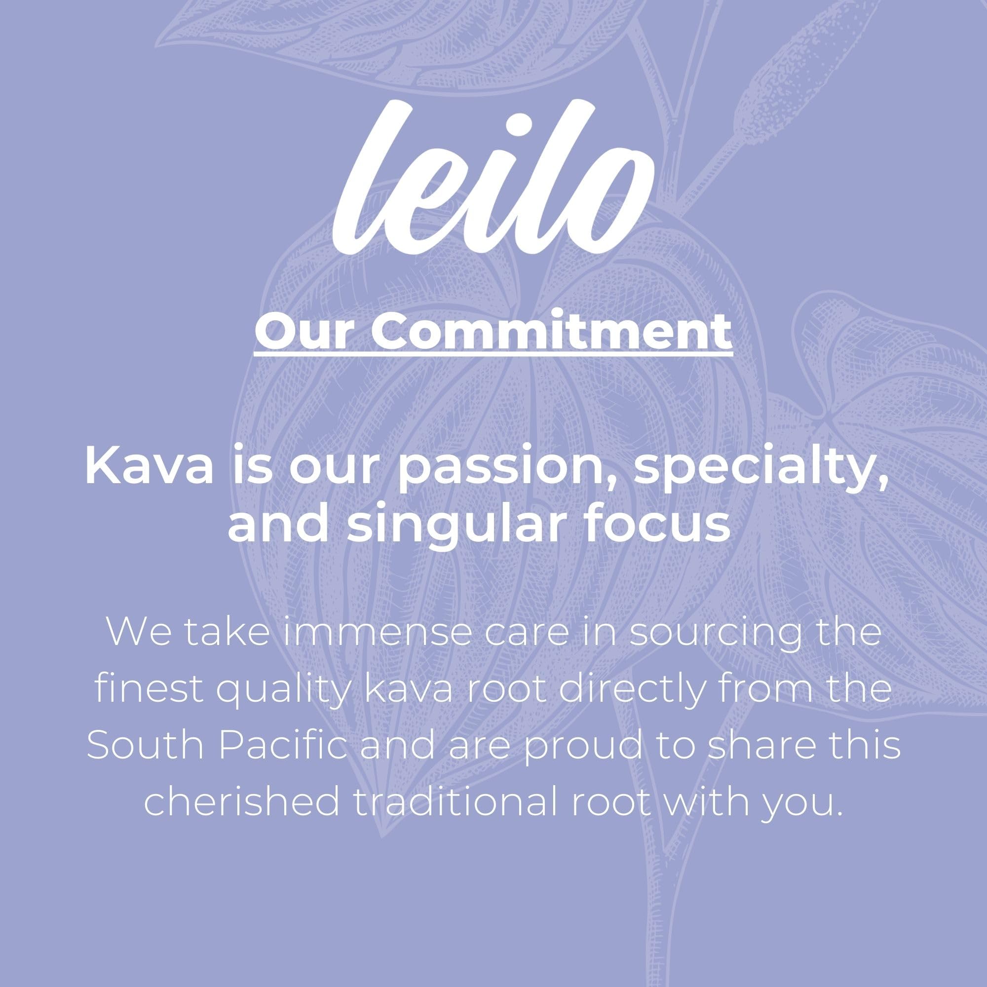 LEILO Kava Powered Sparkling Relaxation Drink – Blackberry Orange 12-Pack | Non-ALC Calming Beverage | 12 fl oz Cans