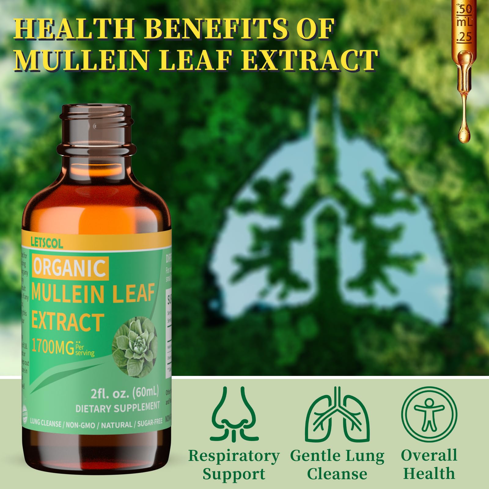 LETSCOL Organic Mullein Drops – 1700mg Mullein Leaf Extract, Non-GMO & Vegan, 2 oz