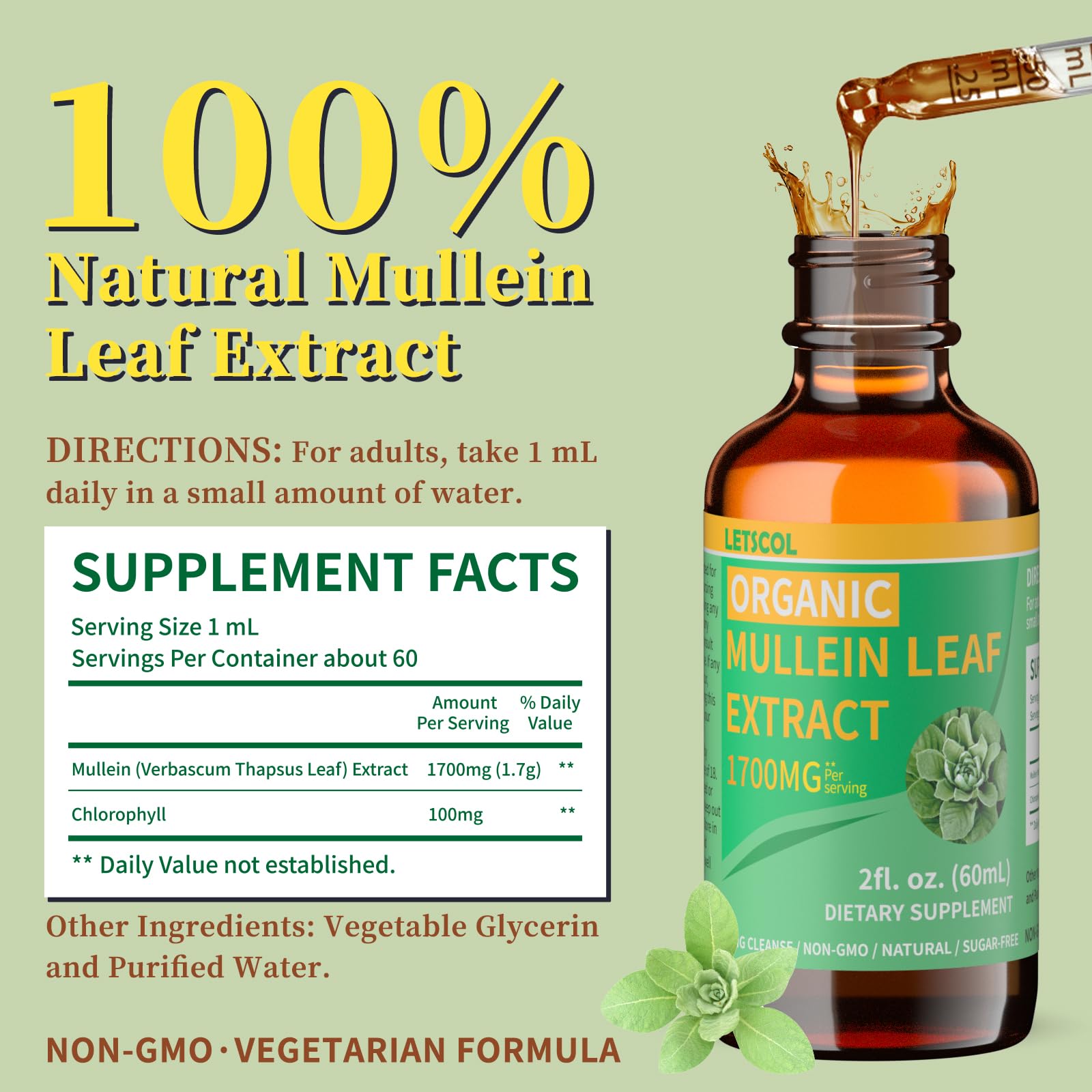 LETSCOL Organic Mullein Drops – 1700mg Mullein Leaf Extract for Lung & Immune Support | Non-GMO, Vegan, 2 Oz