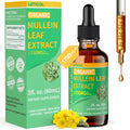 LETSCOL Organic Mullein Drops – 1700mg Mullein Leaf Extract, Non-GMO & Vegan, 2 oz
