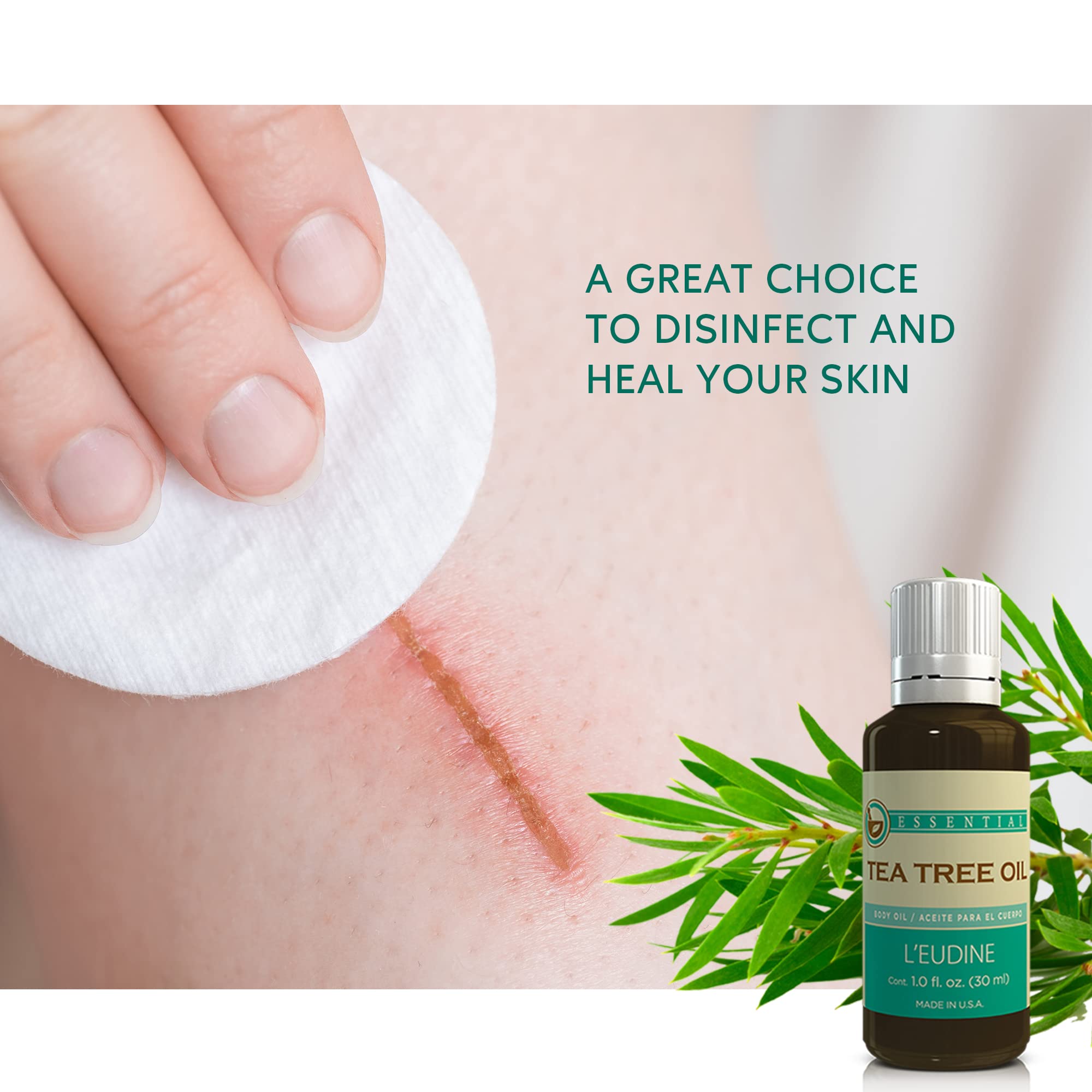 L’EUDINE Tea Tree Oil – 1 fl oz Multipurpose Essential Oil | All-Natural & USA-Made