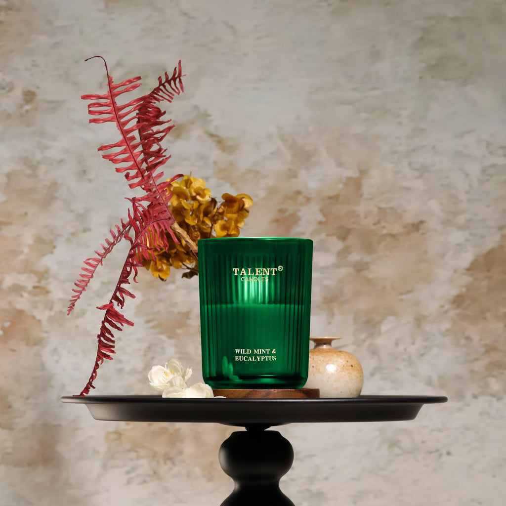 Jar Candles for Home Scent – Natural Soy 8.4oz (Wild Mint & Eucalyptus)