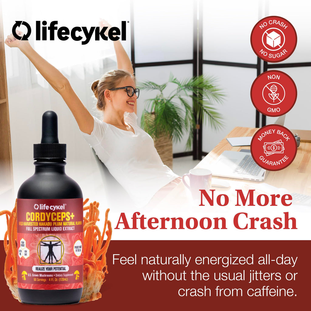 Life Cykel Professional Athletes Pack – Reishi, Lion's Mane & Cordyceps Full-Spectrum Mushroom Tincture | Vegan, Non-GMO