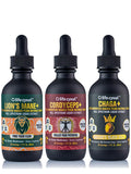 Life Cykel This is It Pack: Chaga, Lion's Mane & Cordyceps – Full-Spectrum Mushroom Extract for Energy, Clarity & Immune Support | Vegan, Non-GMO