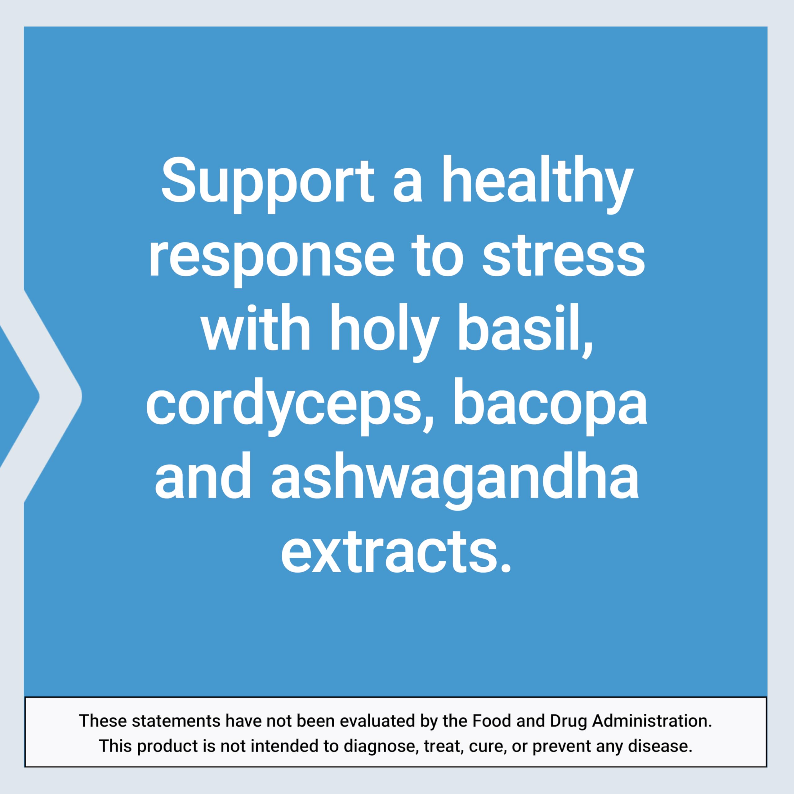 Life Extension Adrenal Energy Formula – Stress Support with Holy Basil, Ashwagandha, Cordyceps & Bacopa, 120 Vegetarian Capsules