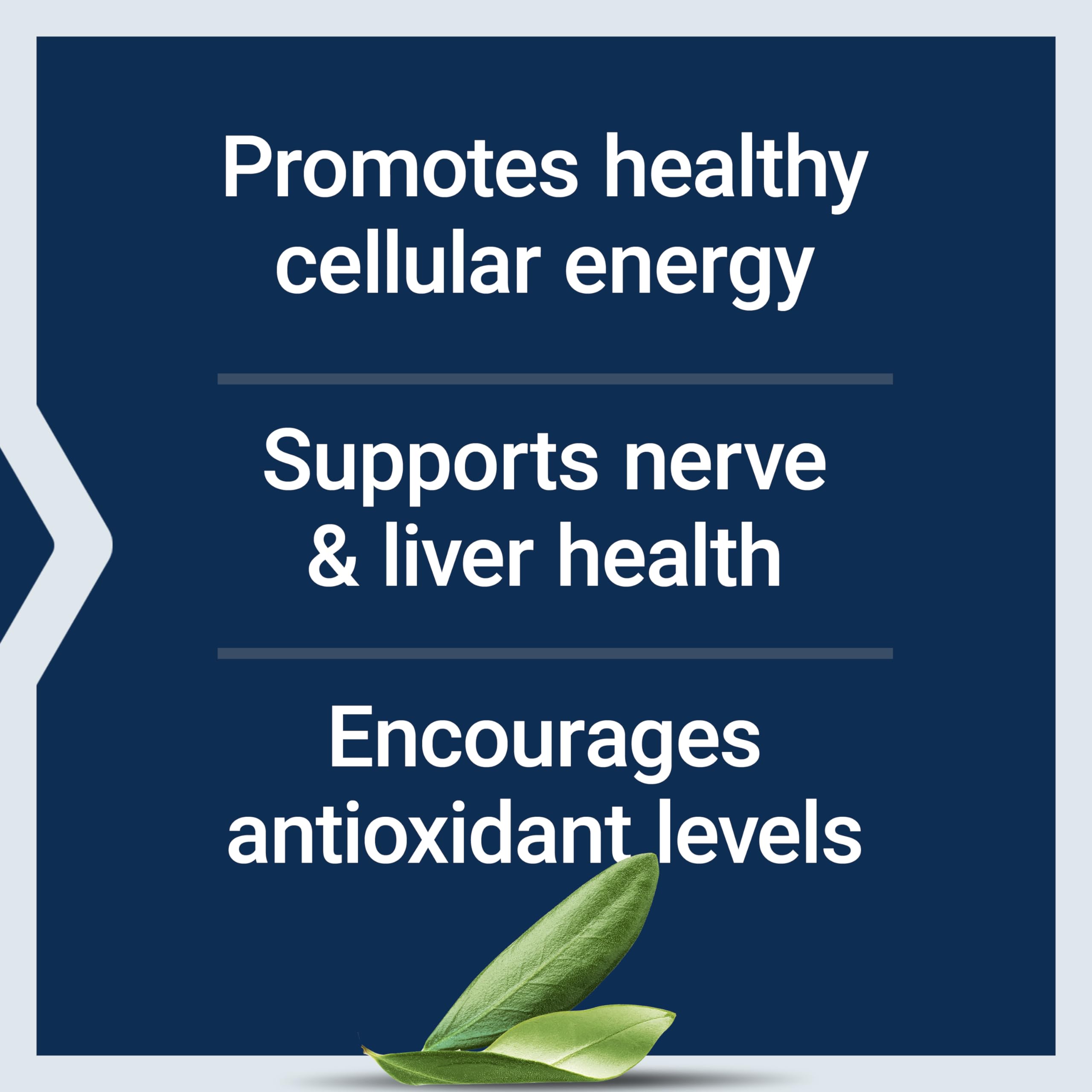Life Extension Alpha-Lipoic Acid with Biotin – 60 Capsules