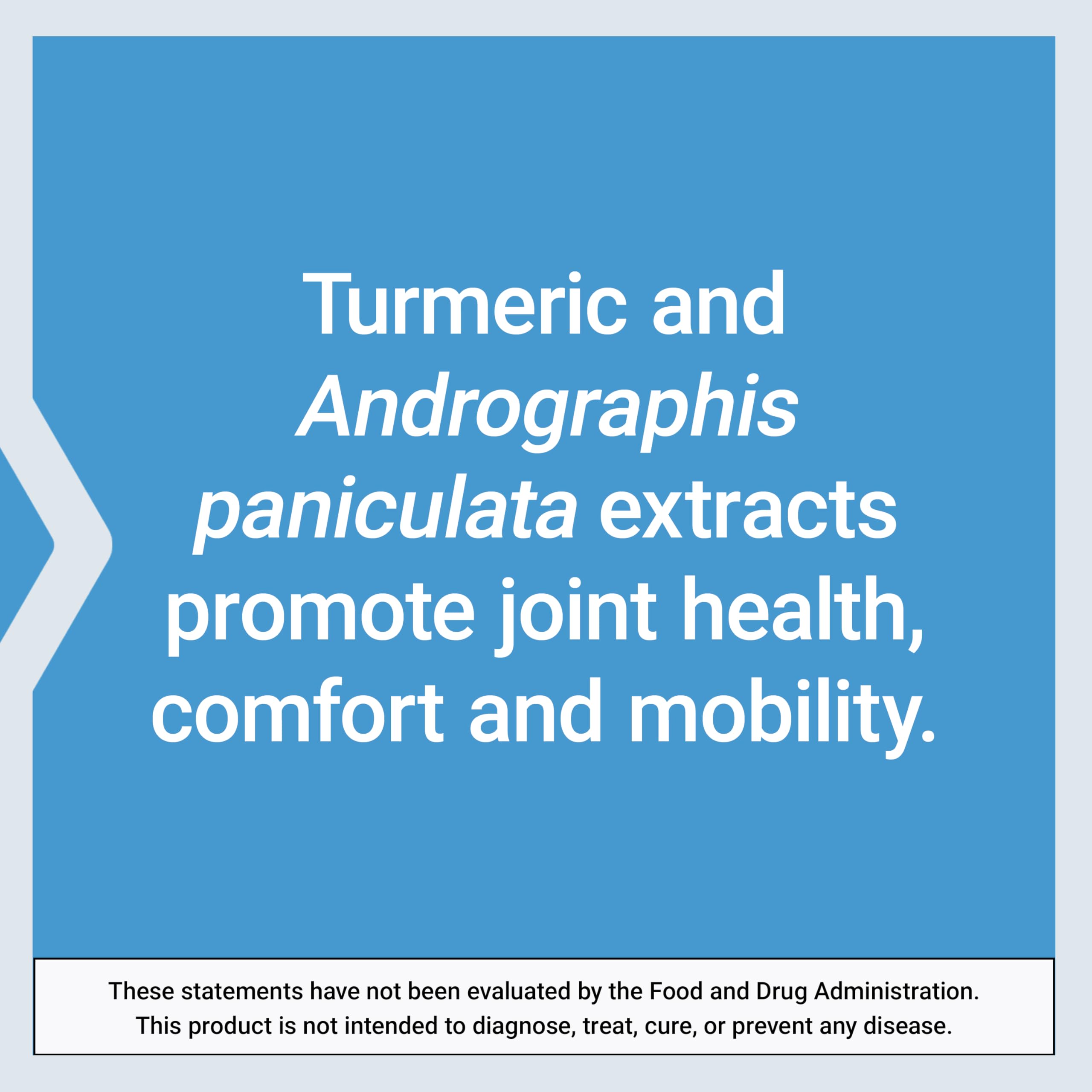 Life Extension Arthro-Immune Joint Support - Curcumin Elite™ Turmeric & Andrographis Paniculata, 60 Capsules