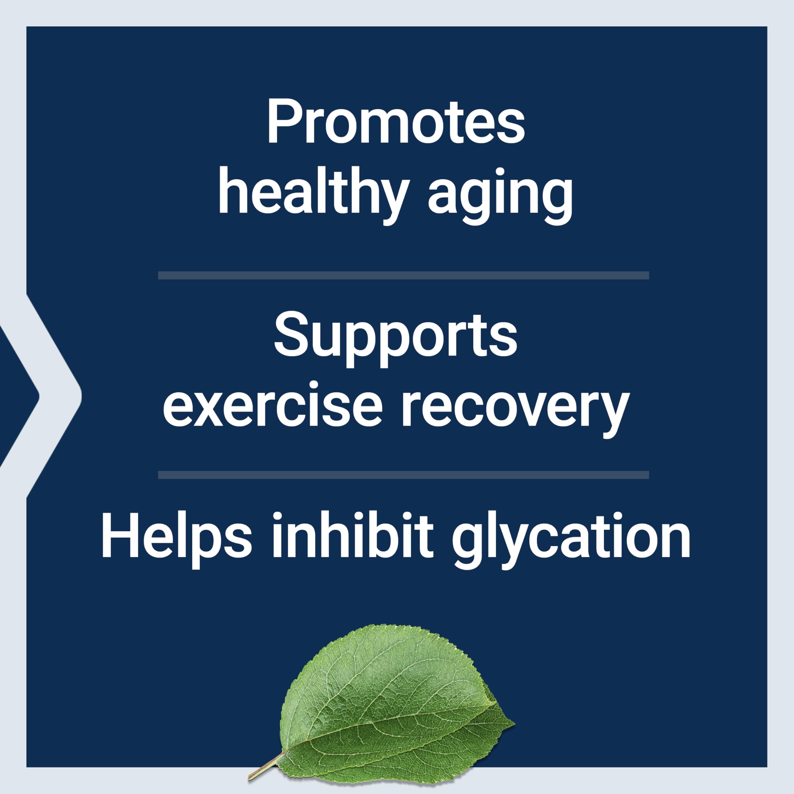 Life Extension Carnosine – Healthy Aging, Exercise Recovery | 60 Vegetarian Capsules