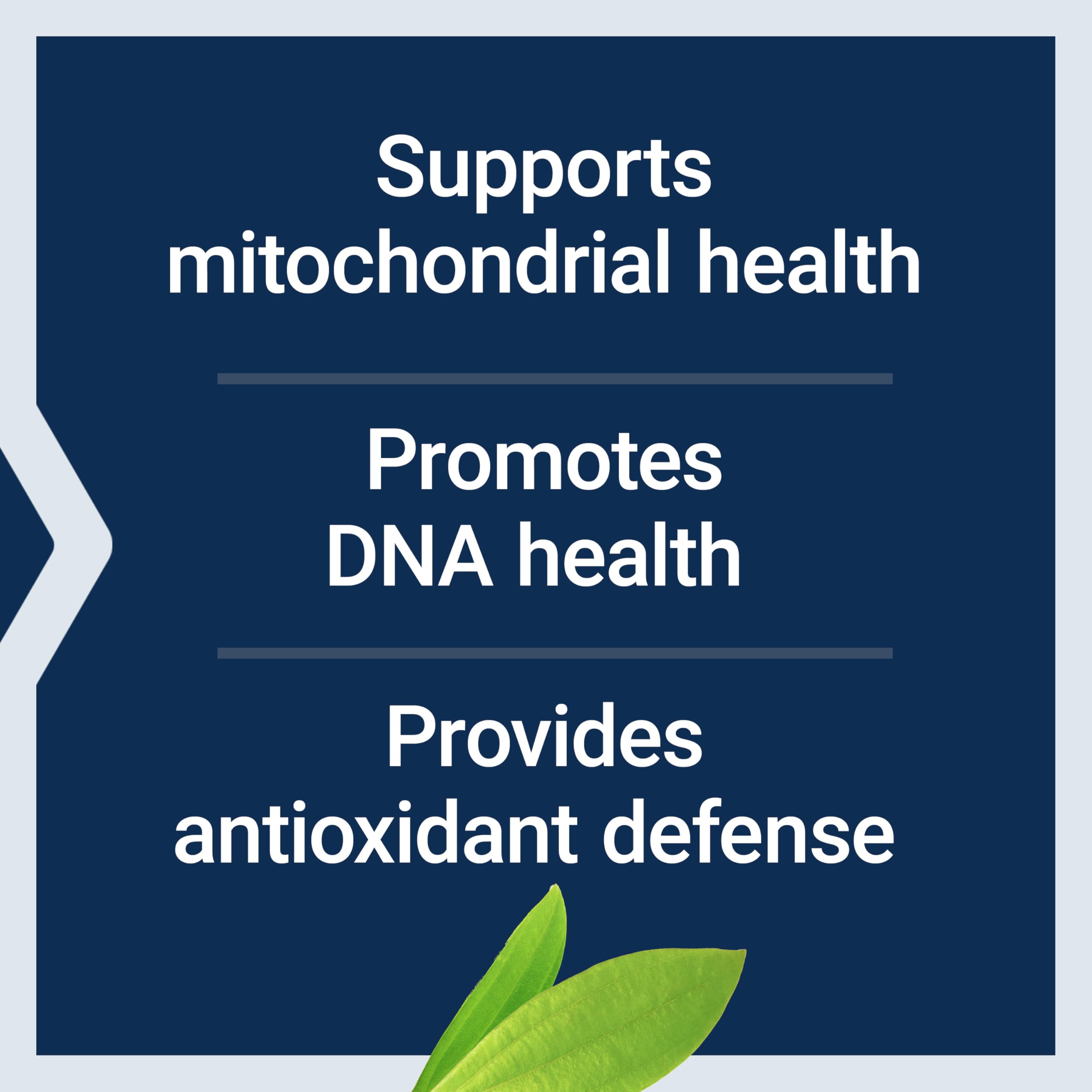 Life Extension Chlorophyllin - Antioxidant & DNA Health Support