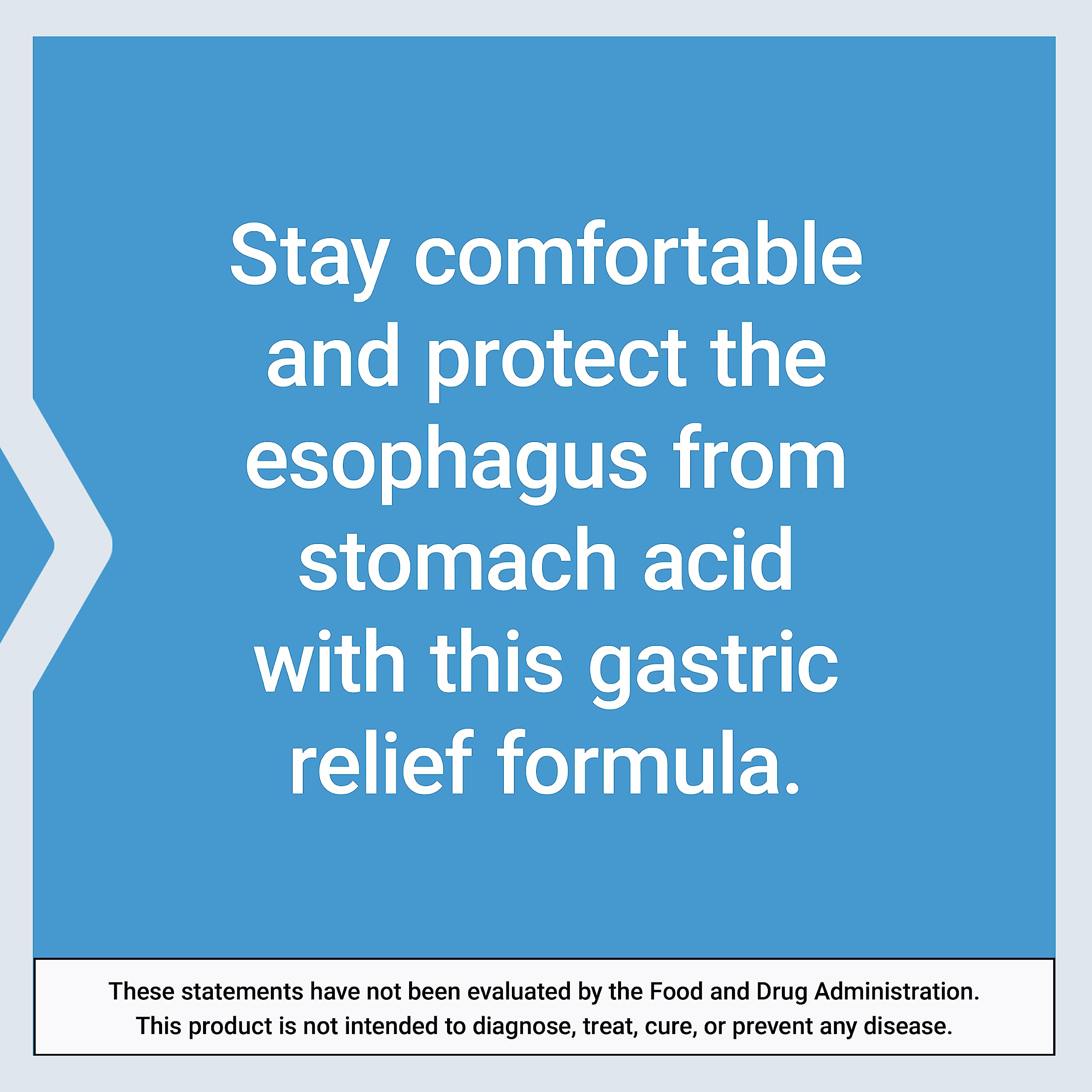 Life Extension Esophageal Guardian – Alginic Acid & Potassium Bicarbonate, 60 Vegetarian Chewable Tablets