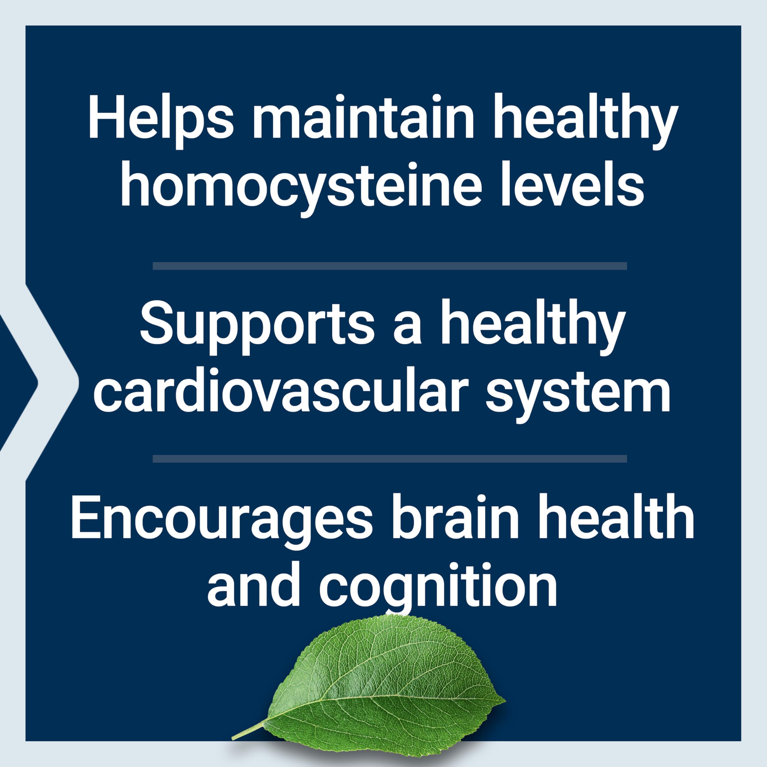 Life Extension Homocysteine Resist Vegetarian Capsules - Heart & Brain Health Support | 60 Count