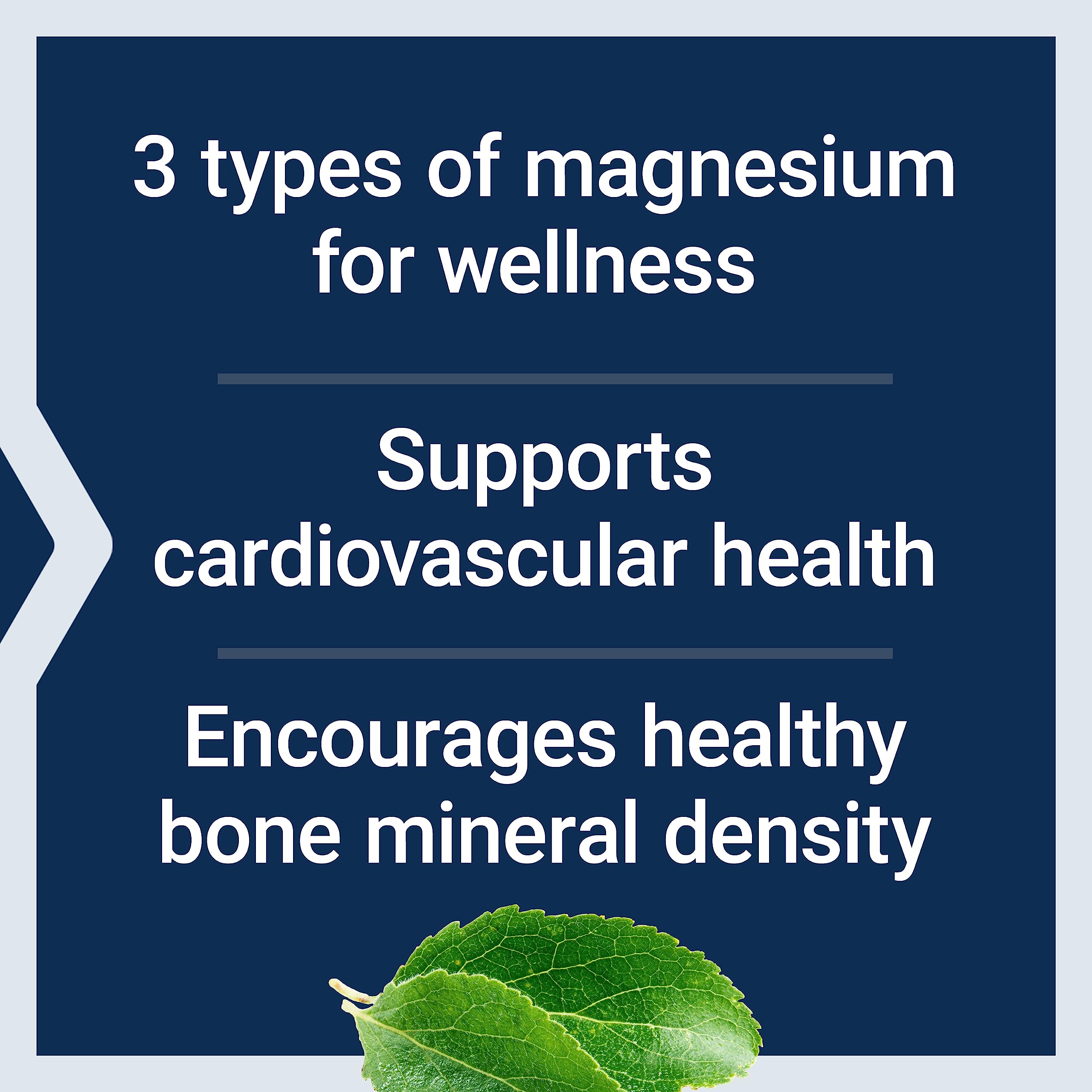 Life Extension Magnesium Caps 500 mg – Mg Oxide/Citrate/Succinate – 2x100 Veg Caps