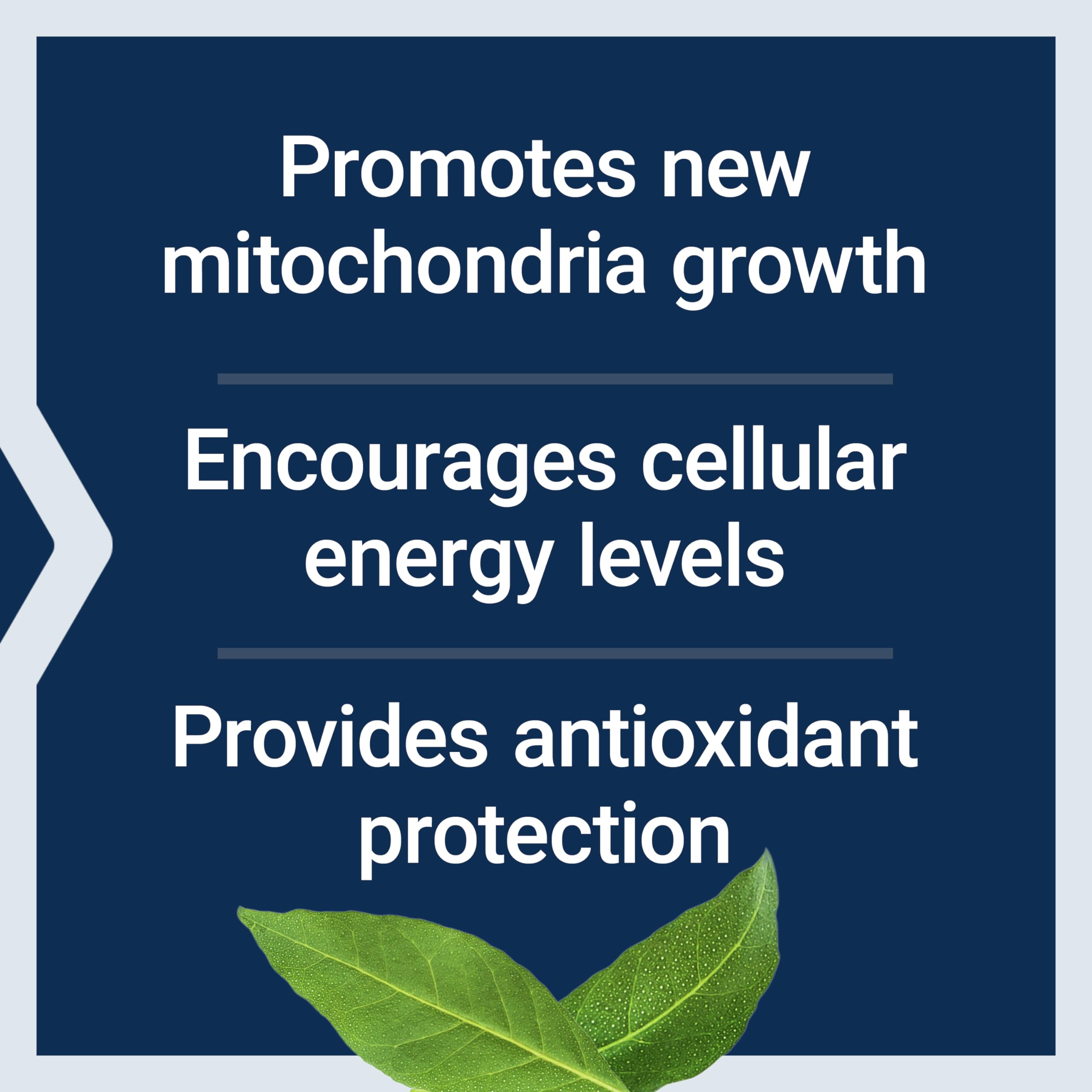 Life Extension PQQ 20 mg – Promotes New Mitochondria | Gluten-Free, Non-GMO, Vegetarian