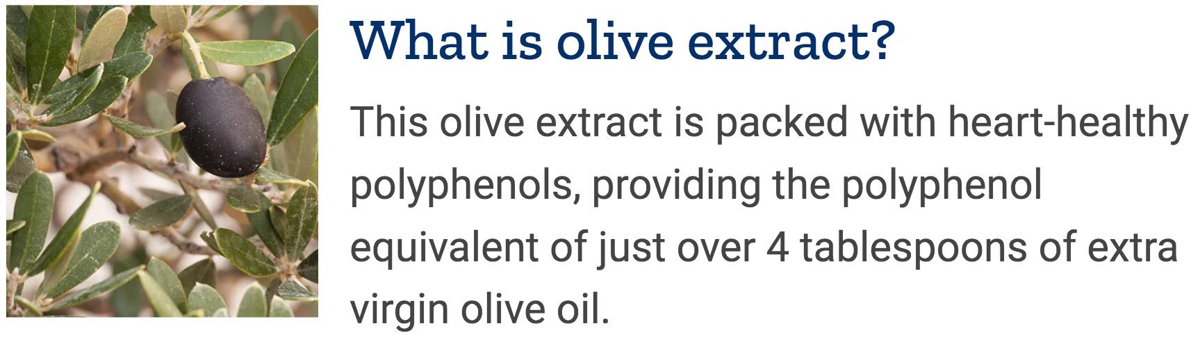Life Extension Super Omega-3 360 Softgels – EPA/DHA Fish Oil with Sesame Lignans & Olive Extract