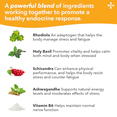 LifeSeasons Adrenal-T – Adrenal Fatigue Support with Ashwagandha Adaptogens | 60 Capsules