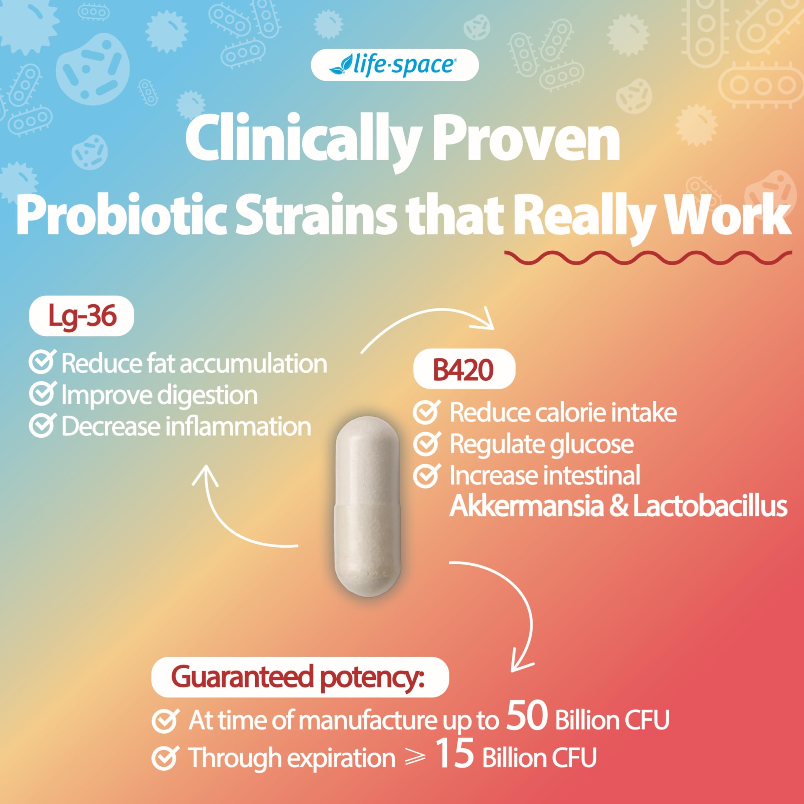 Life-Space Shape B420 Probiotics — Prebiotic + Probiotic for Metabolism Support, 60 Veg Capsules (2-Month Serving)