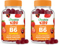 Lifeable Vitamin B6 Gummies for Kids – 50 mg per Gummy, 60 Gummies (2 Pack) – Vegan, Non-GMO, Gluten Free