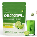 Lifebooil Chlorophyll Powder 120mg – Lime Twist | Supports Alkalization, Gut Health & Clean Energy – 30 Servings