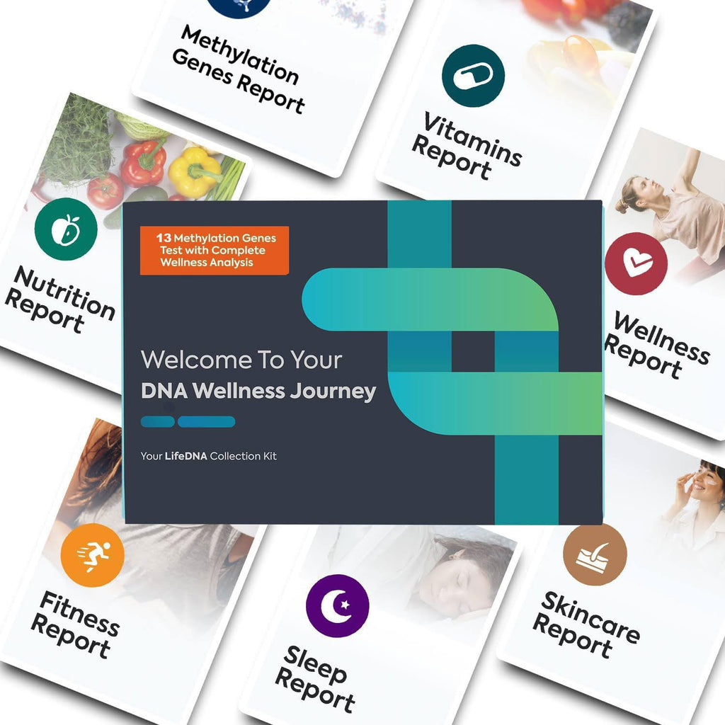 LifeDNA 13 Methylation Genes Test – Complete Wellness Analysis & 135+ Insights