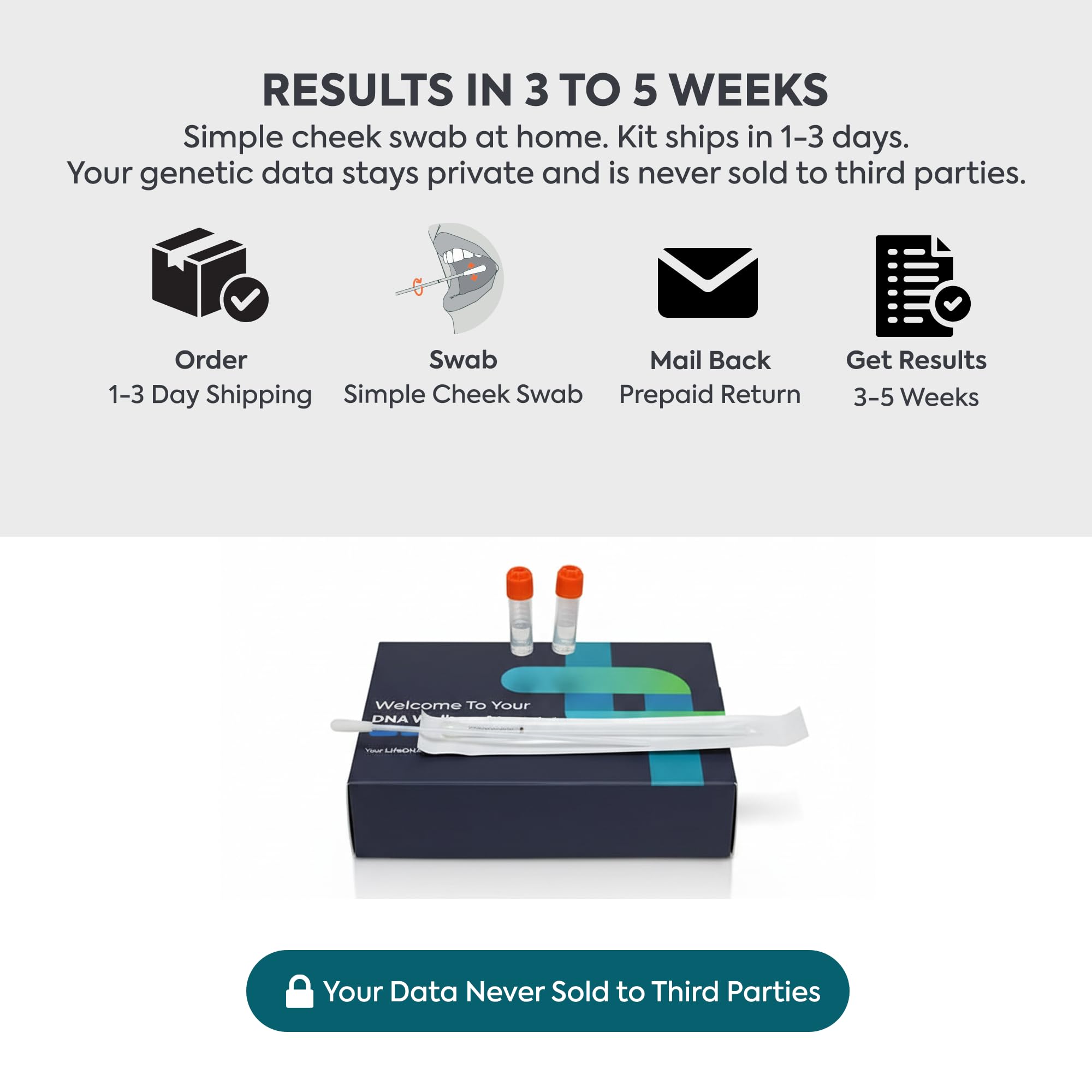 LifeDNA 13 Methylation Genes Test – Complete Wellness Analysis & 135+ Insights